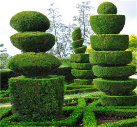 洛陽天鑫園林綠化工程詳情、價格及圖片信息