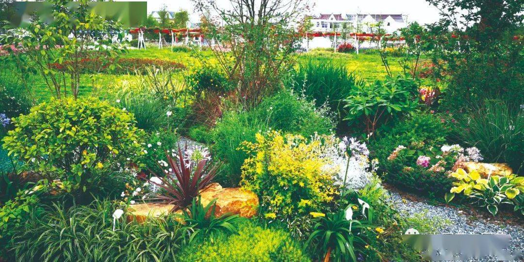 喜訊|我集團攬獲山東省園林綠化行業(yè)第一屆花境職業(yè)技能競賽園林綠化工程獎項